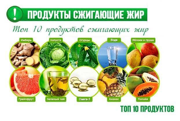 Какие фрукты можно есть при похудении - список несладких, низкокалорийных и с жиросжигающими свойствами