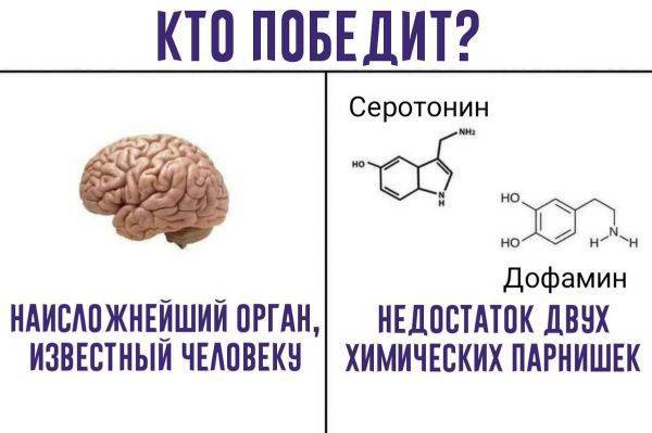 Почему нам всем на самоизоляции нужно дофаминовое голодание