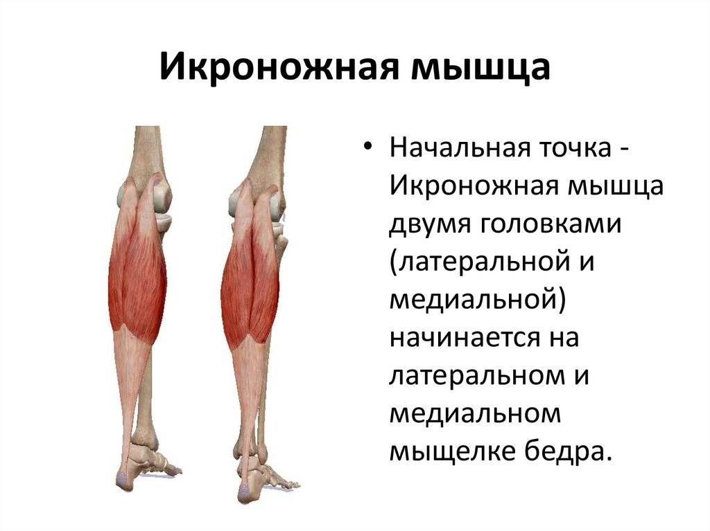 Боль в икрах ног причины | сеть клиник «здравствуй!»