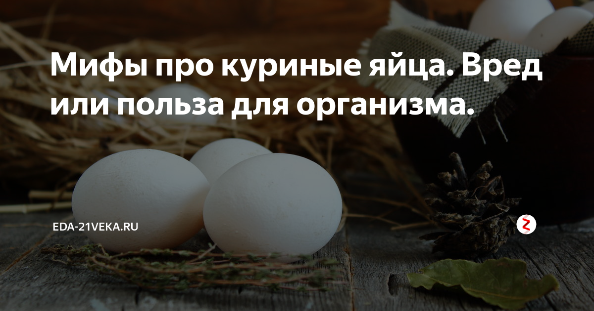Куриные яйца : польза и вред для здоровья организма употребления сырых, варенных, всмятку, жареных, желка, натощак, для мужчин и женщин