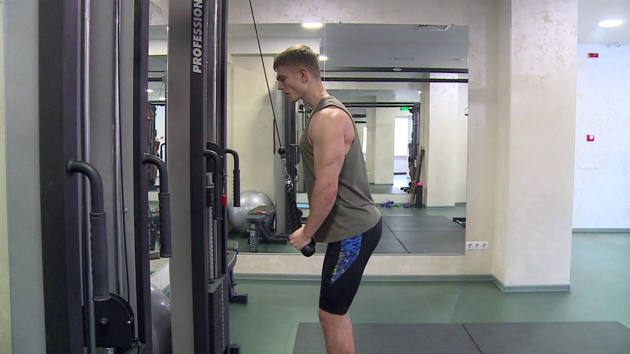 Разгибание рук на блоке стоя: верхнем, нижнем и чем его заменить | irksportmol.ru