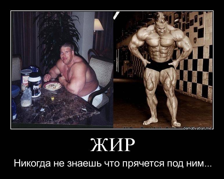 Стоит ли у качков или не стоит? вся правда!