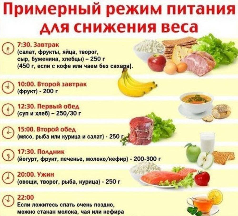Здоровое питание меню на каждый день для всей семьи с рецептами