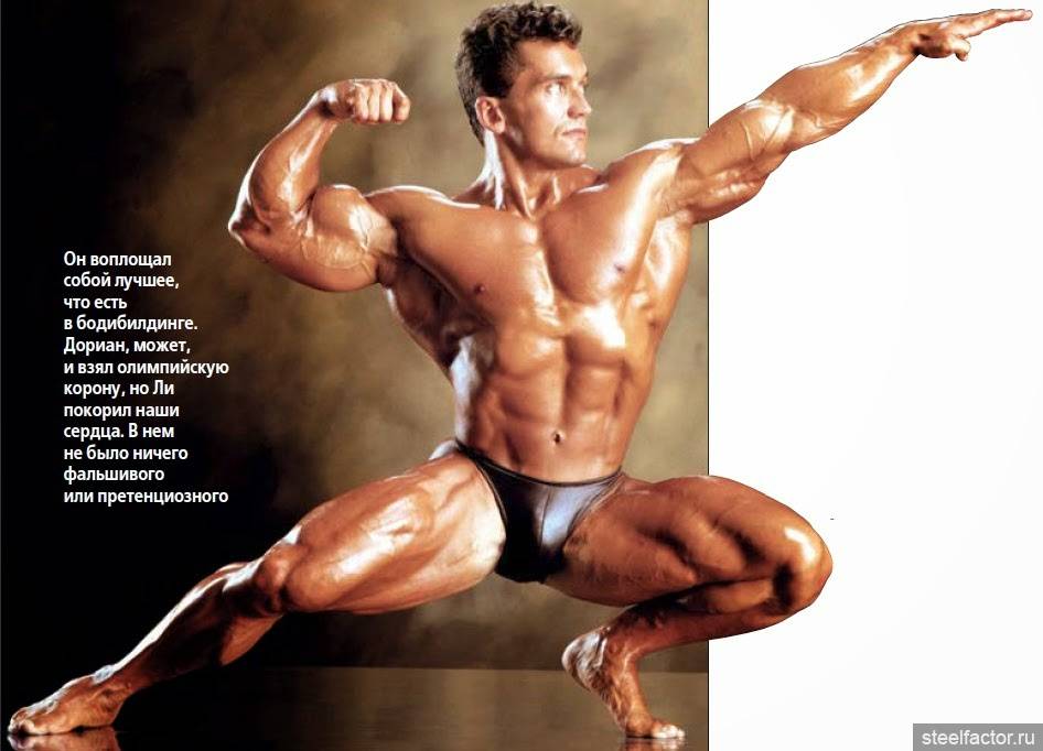 Ли лабрада в спорте и жизни: прошлые и сегодняшние заслуги
