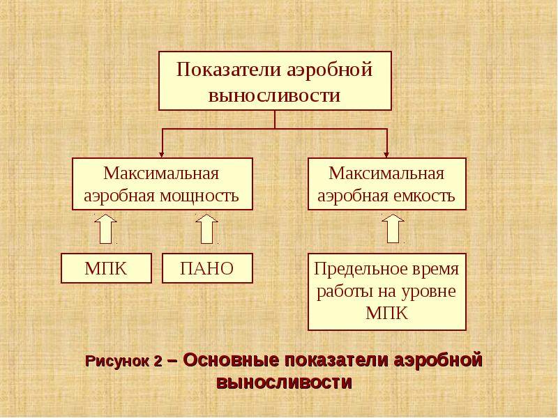 Выносливость: как развить + лучшие упражнения на ее увеличение