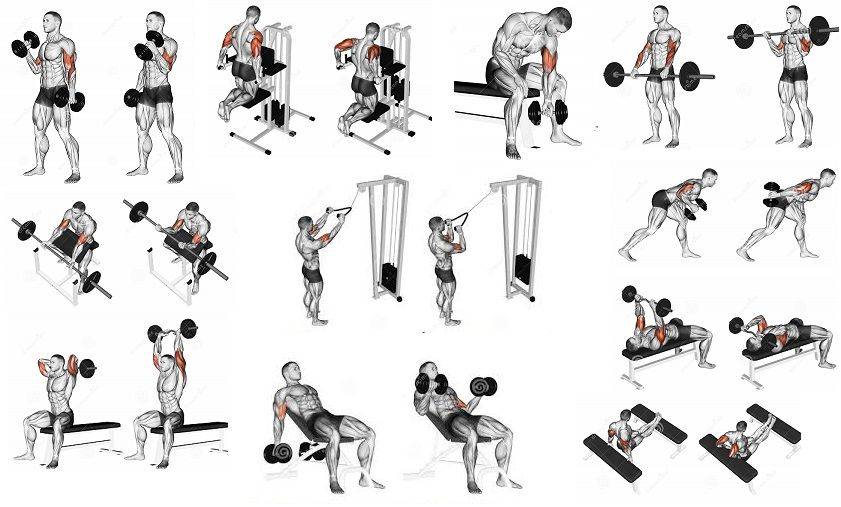 Тренировка плеч в тренажерном зале для мужчин для роста массы дельтовидных мышц