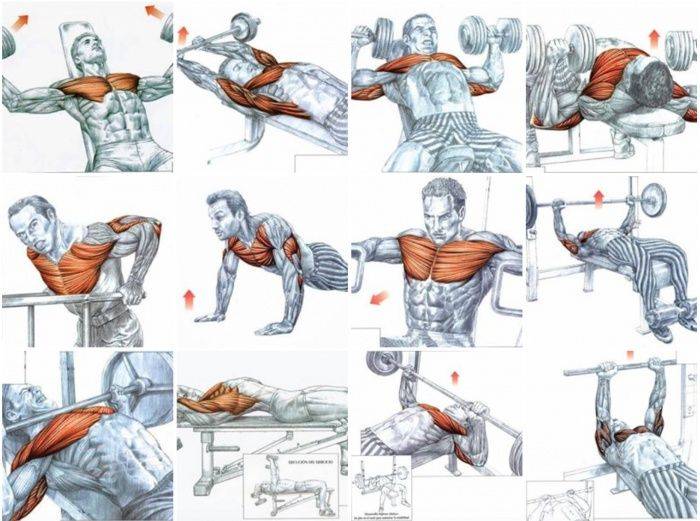 Как накачать объемные грудные мышцы мужчине в тренажерном зале