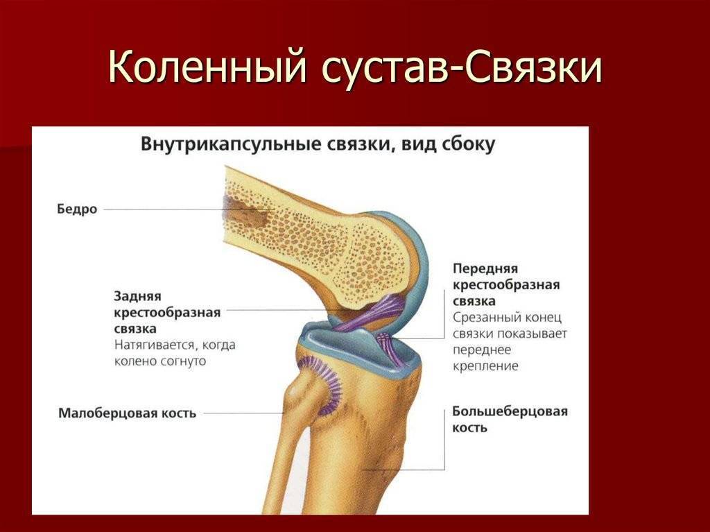 Реабилитация и восстановление после разрыва связок коленного сустава