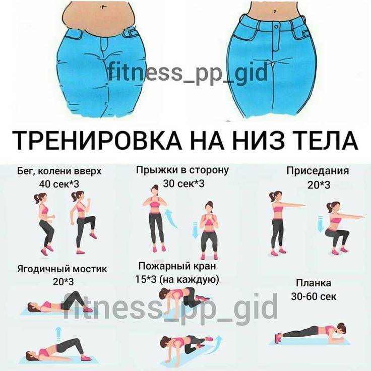 Силовые тренировки для сжигания жира: как помогают, зачем нужны, можно ли похудеть с помощью тренинга, программа при похудении