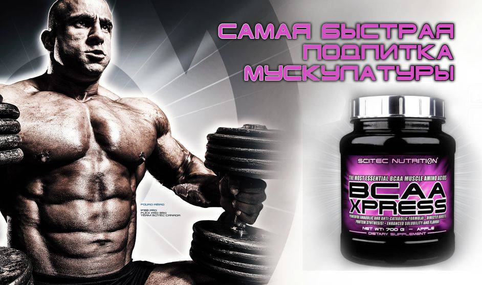 BCAA Xpress от Scitec Nutrition