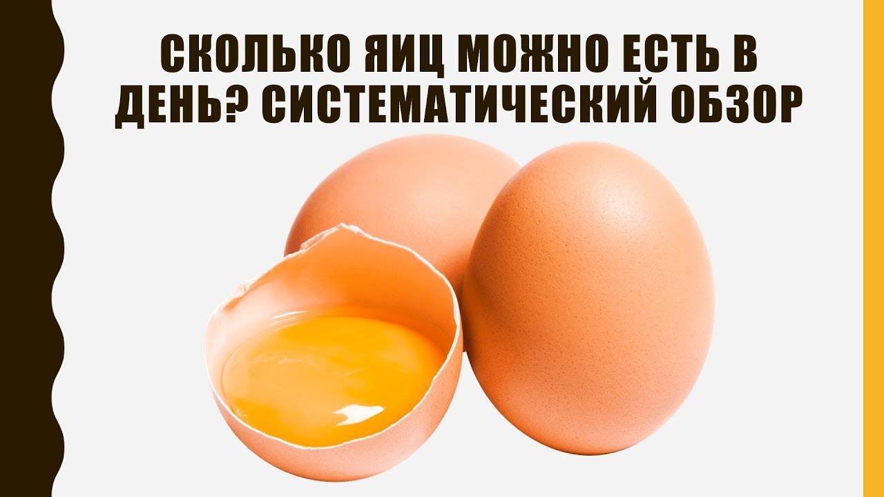 Ученые советуют есть не больше двух-трех яиц в неделю