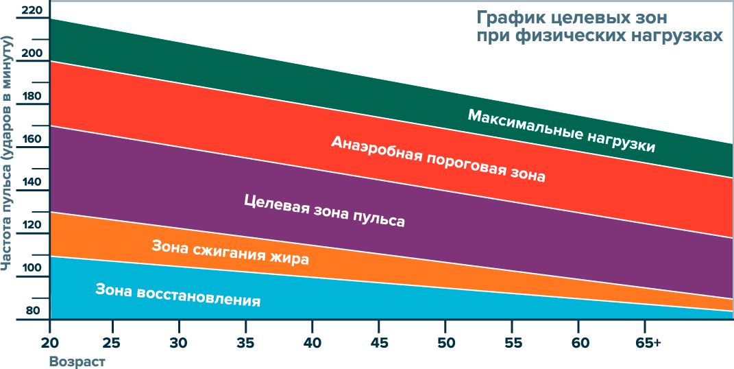 Пульс при кардиотренировке для сжигания жира: какой он должен быть?