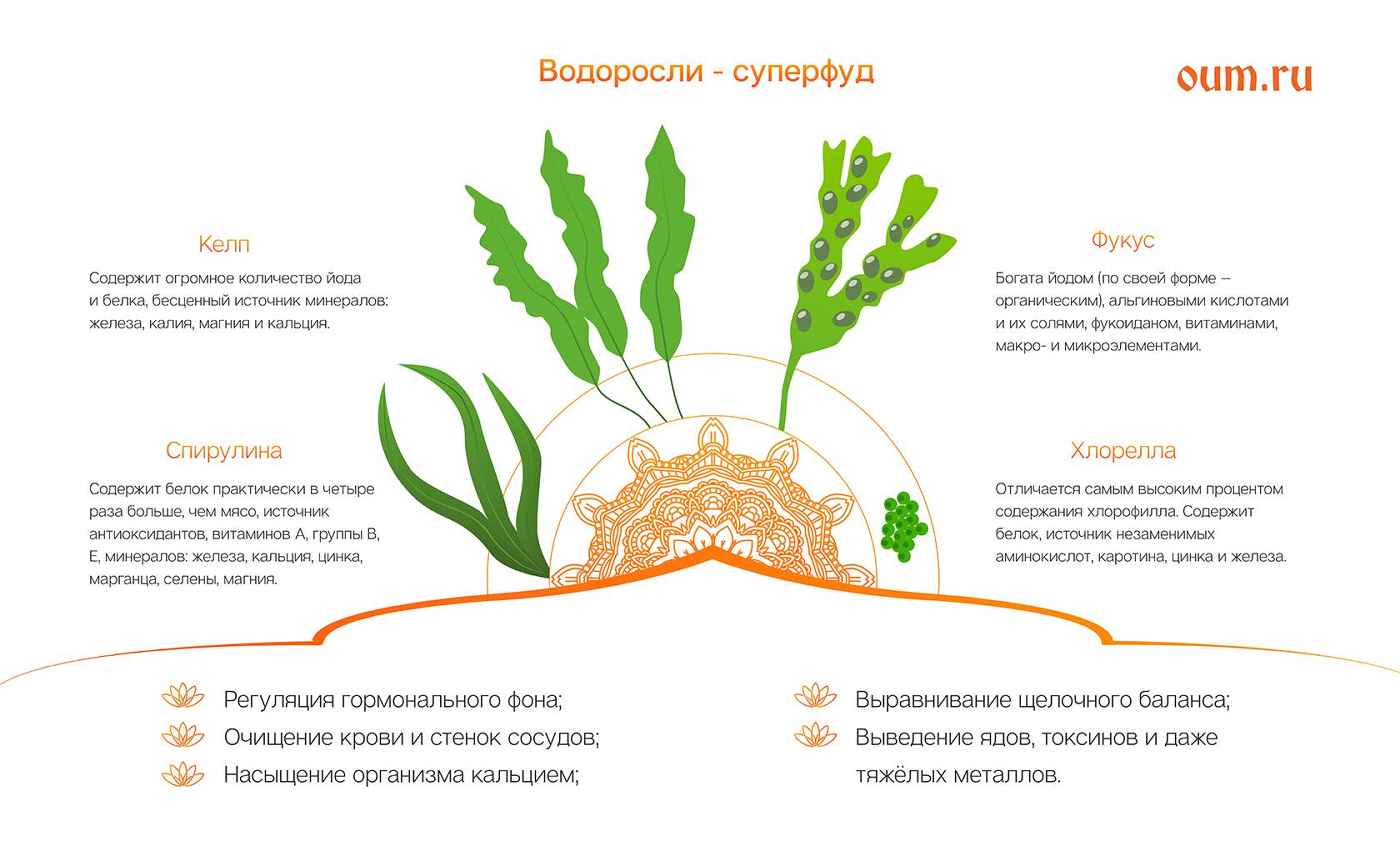 Самый лучший недорогой ноутбук на сегодняшний день: рейтинг, отзывы владельцев
