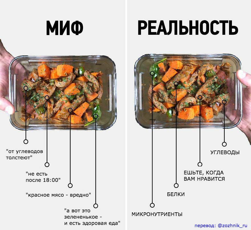 10 мифов и фактов о метаболизме: откуда берется лишний вес и как его убрать?