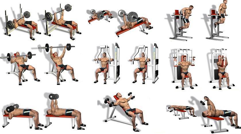 Как накачать грудные мышцы в тренажерном зале