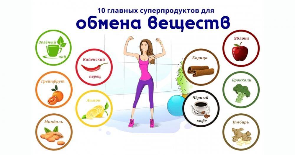 Как замедлить метаболизм в организме: продукты и препараты, замедляющие обмен веществ | irksportmol.ru