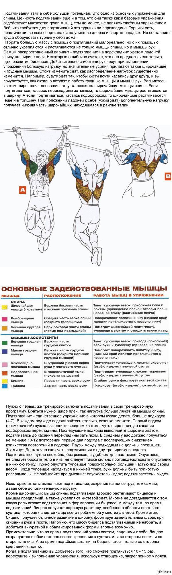 Комплекс упражнений для накачки бицепса на турнике