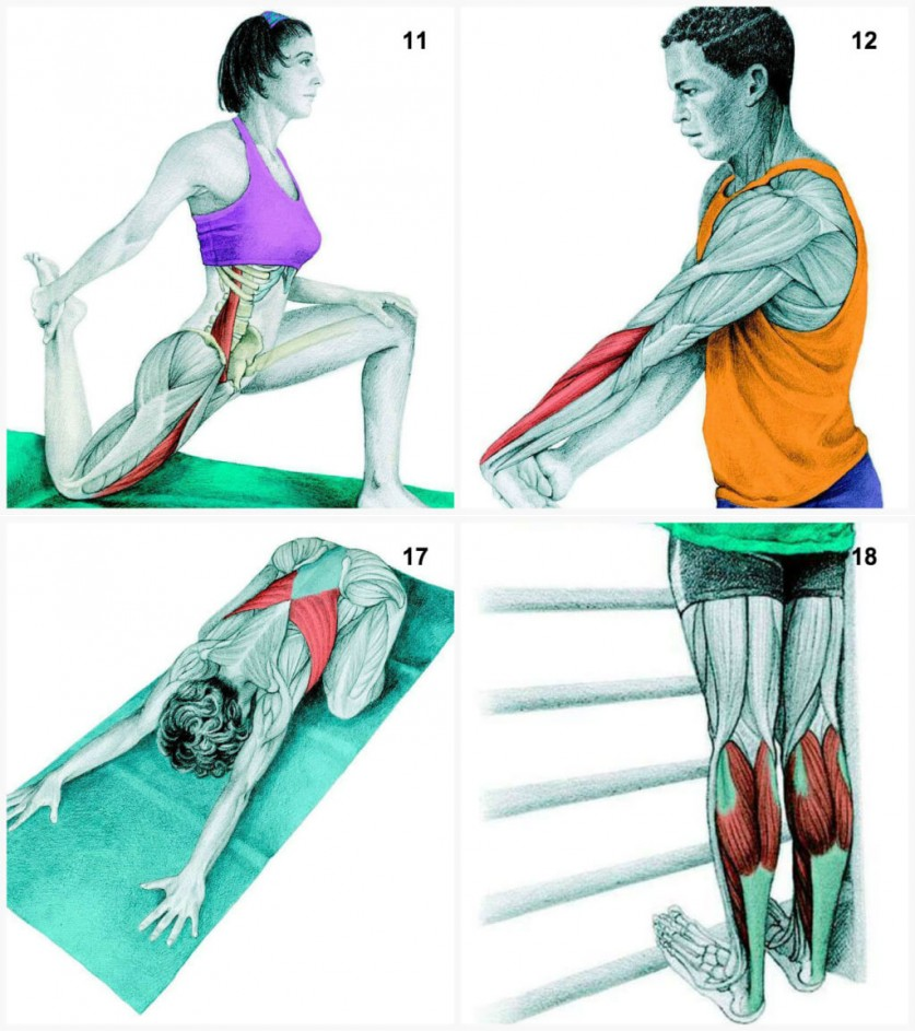 30 упражнений для растяжки мышц ног для бегунов | maximbuvalin.ru