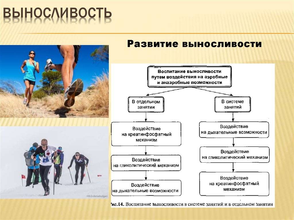 Что такое выносливость, какой она бывает и как ее правильно развивать
