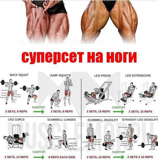Тренировка ног и ягодиц: обзор лучших упражнений