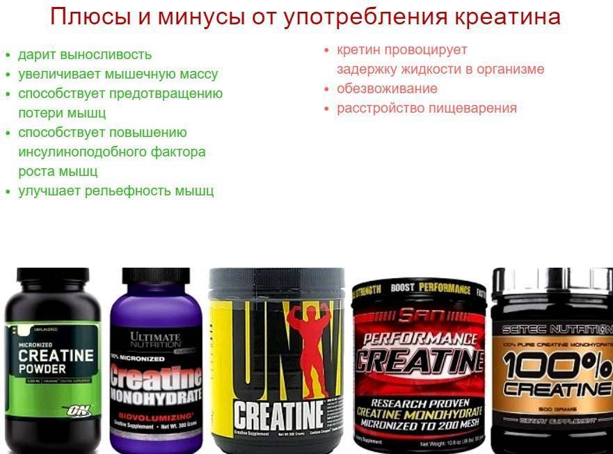 Термогеники