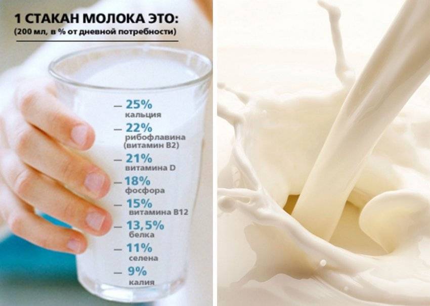 Молоко на ночь для похудения – 4 рецепта, польза