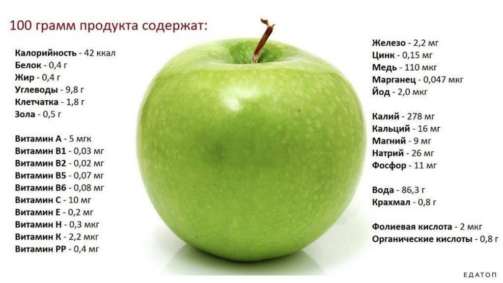Яблоко: бжу на 100 грамм. сколько калорий содержится в яблоках? сколько калорий в 1 яблоке