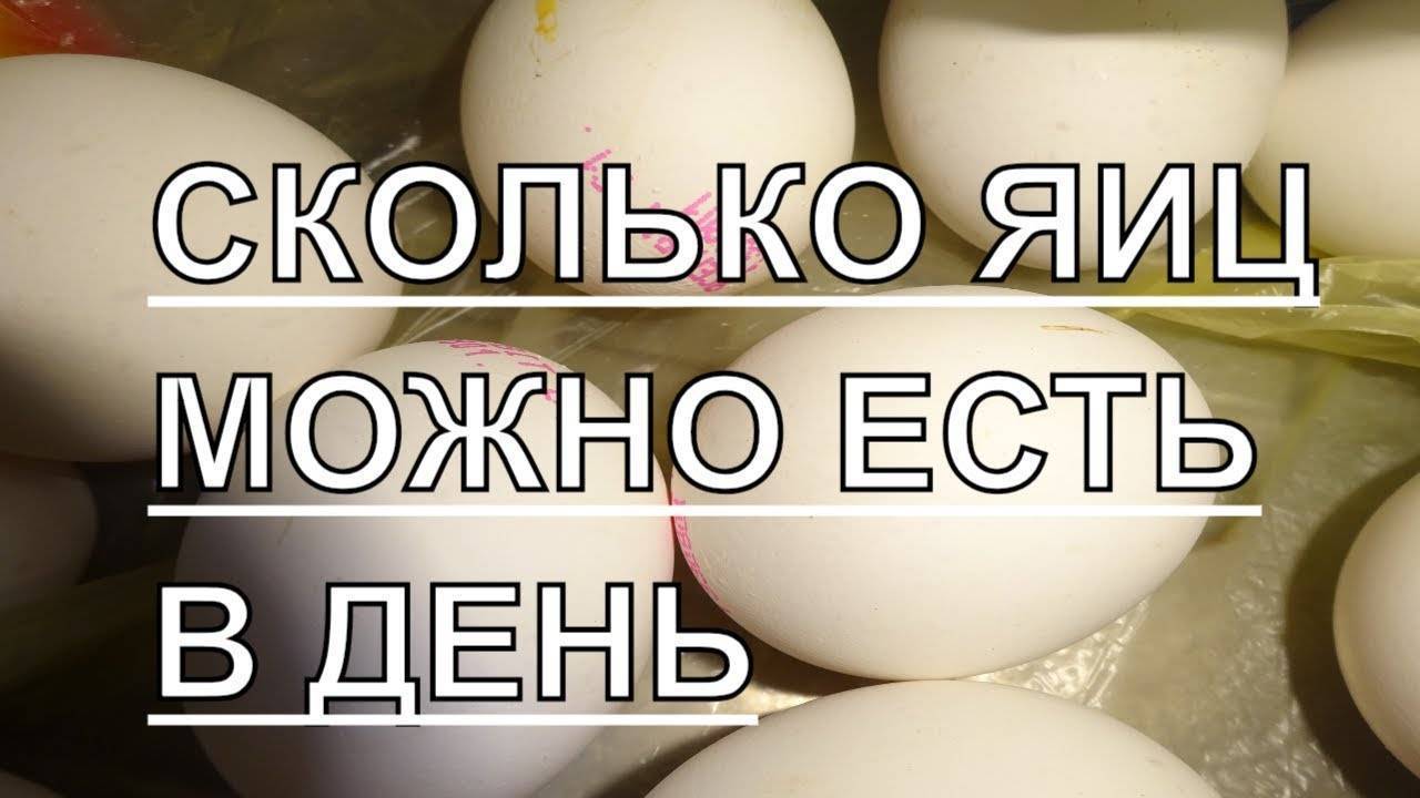 Сколько яиц можно есть в неделю: бодибилдеру и обычному человеку