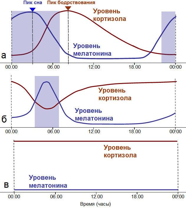 Влияние cpap-терапии на показатели эректильной функции во время сна и уровень тестостерона у мужчин с синдромом апноэ сна » библиотека врача