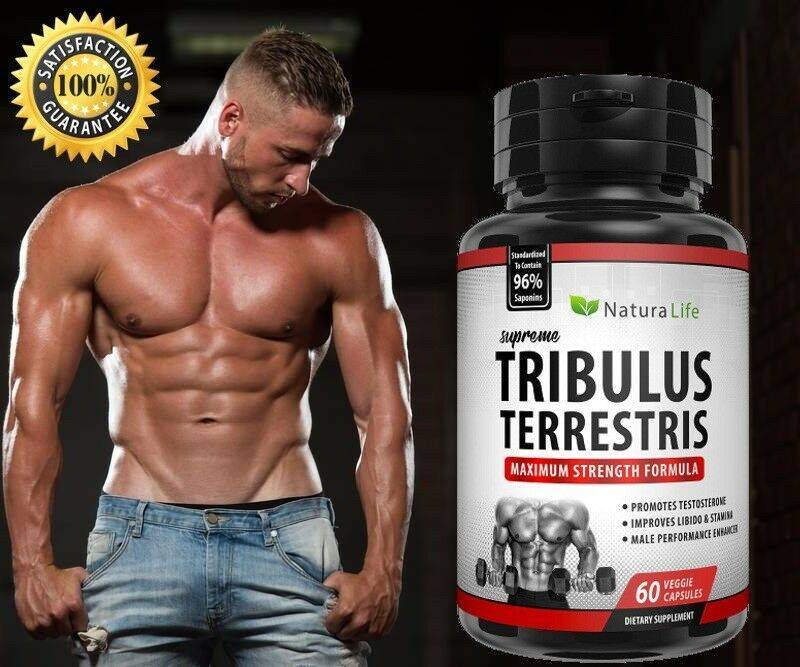 Трибулус для повышения тестостерона и потенции