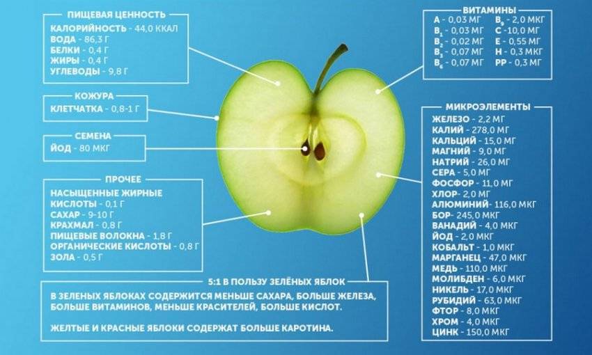 Яблоко: где и как растет фрукт, калорийность, виды, польза и вред, состав и хранение