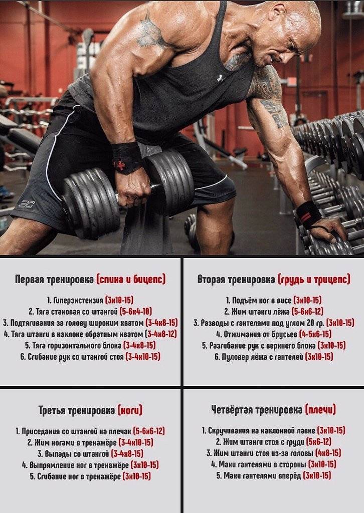 6 правил тренировок на силу для новичков