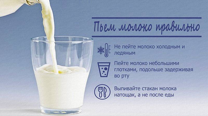 Полезно ли пить молоко для похудения? молоко на ночь при похудении.