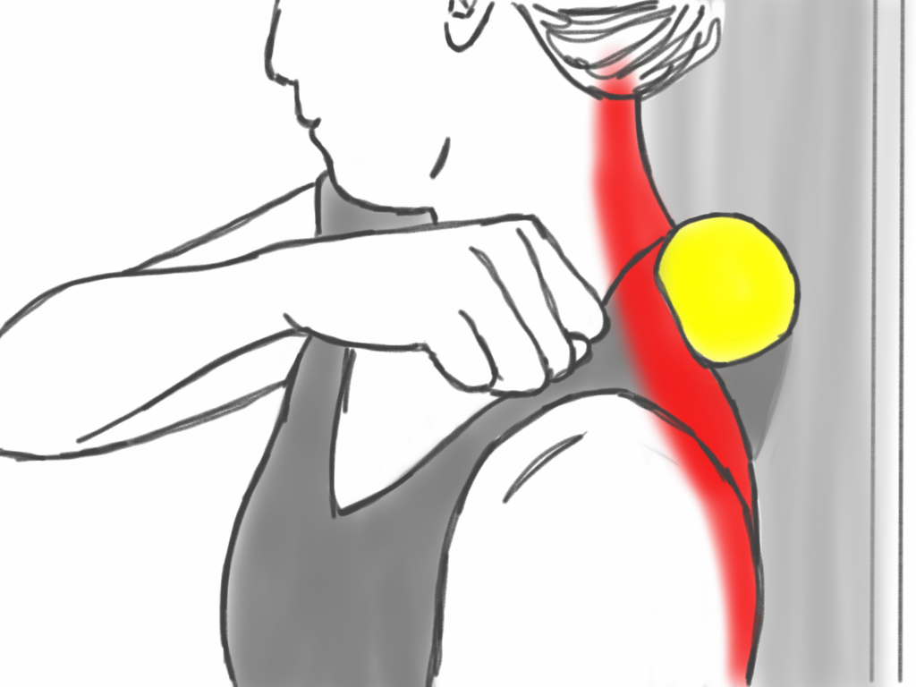 Форум болят руки плечи. Растяжка надостной мышцы плеча. Растяжка трапециевидной мышцы шеи. Лестничная мышца шеи упражнения. Гимнастика для трапециевидной мышцы.