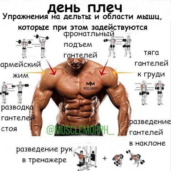 Какие мышцы качать вместе — главные принципы