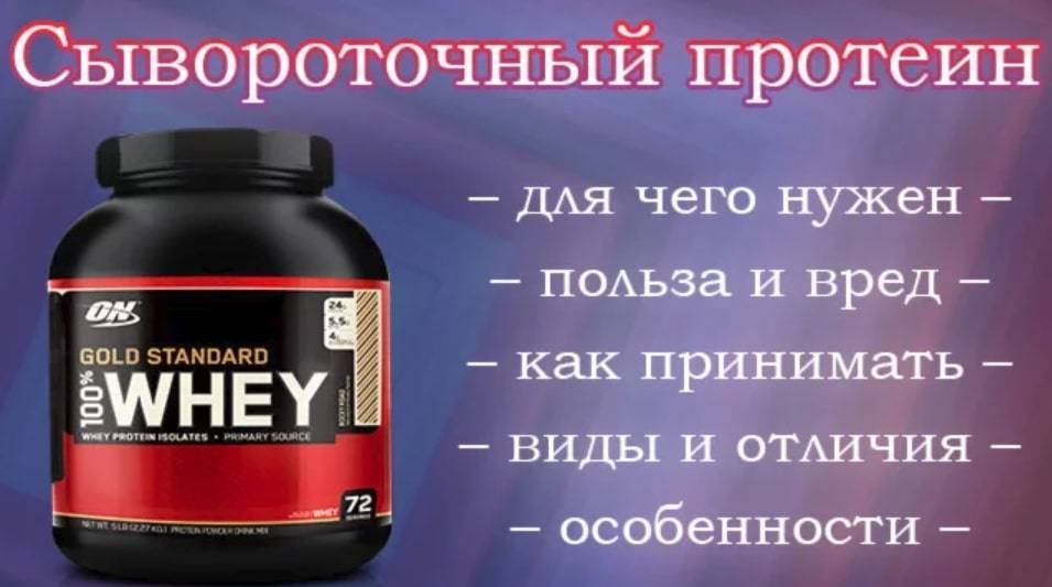 Сывороточный протеин: что это такое, как принимать, какой вей протеин лучше