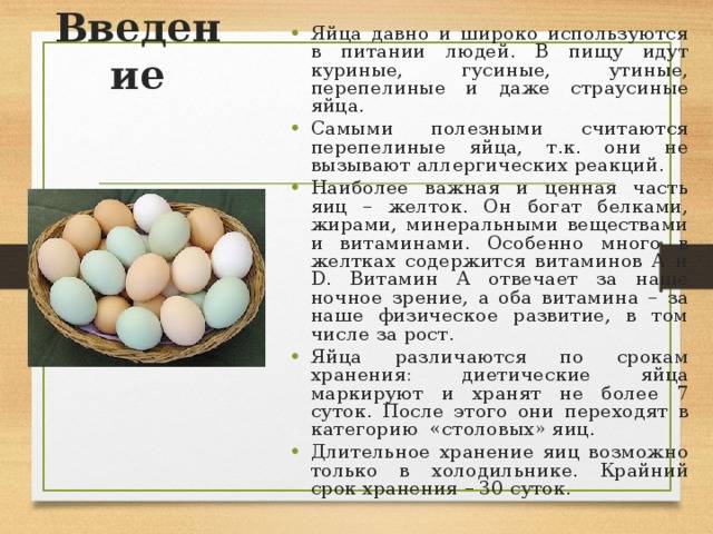 Мифы и правда о вреде куриных яиц