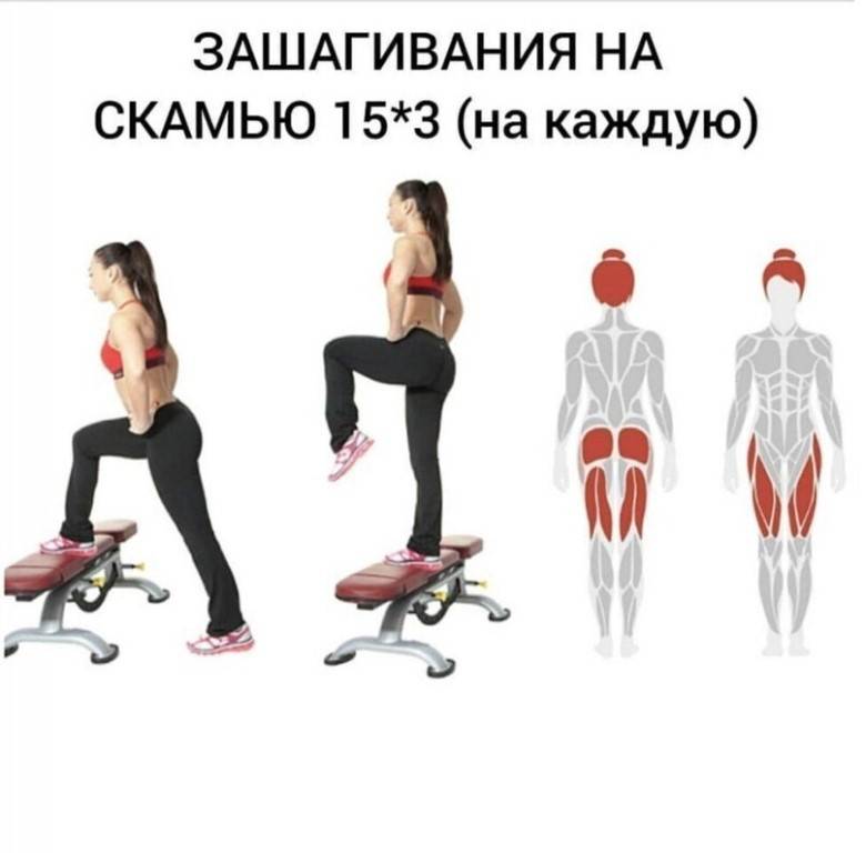 Тренировка ног и ягодиц: обзор лучших упражнений