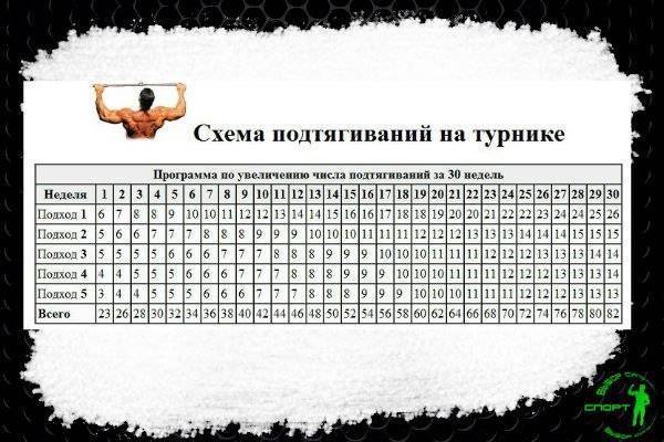 Как увеличить количество подтягиваний на турнике: эффективные методы и программы, советы