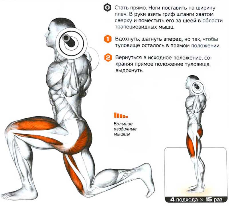 Выпады с гантелями. техника выполнения упражнения, советы и рекомендации :: syl.ru