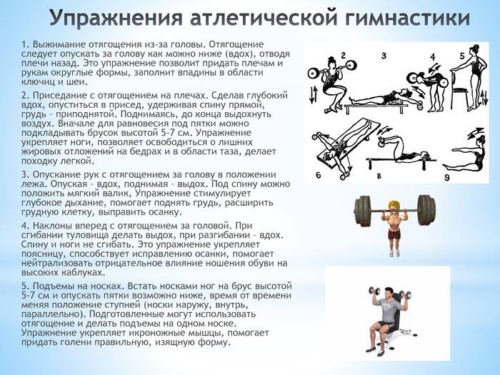 Упражнения на грудные мышцы | спортсправка