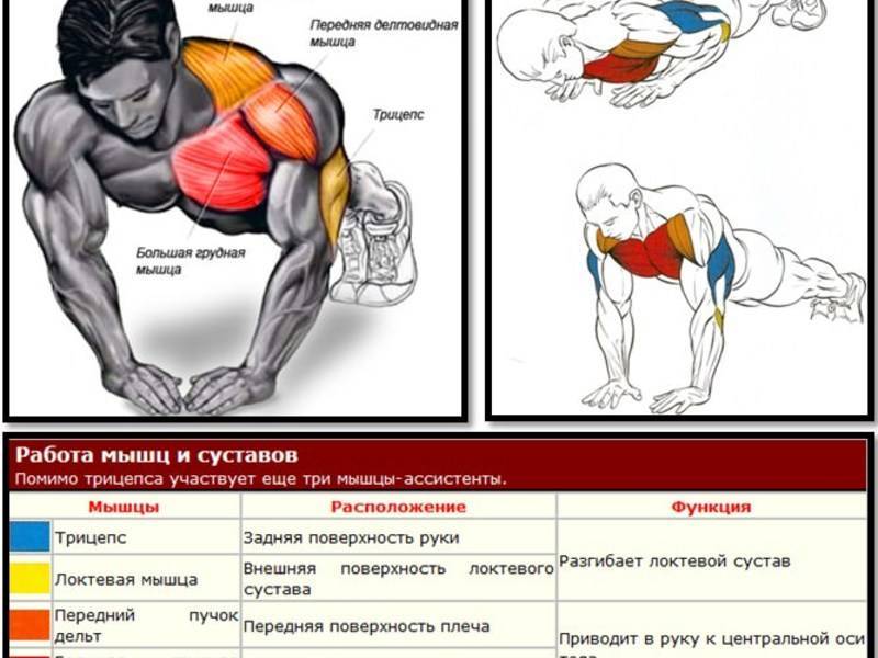 Отжимания на бицепс от пола: виды упражнений и техника выполнения