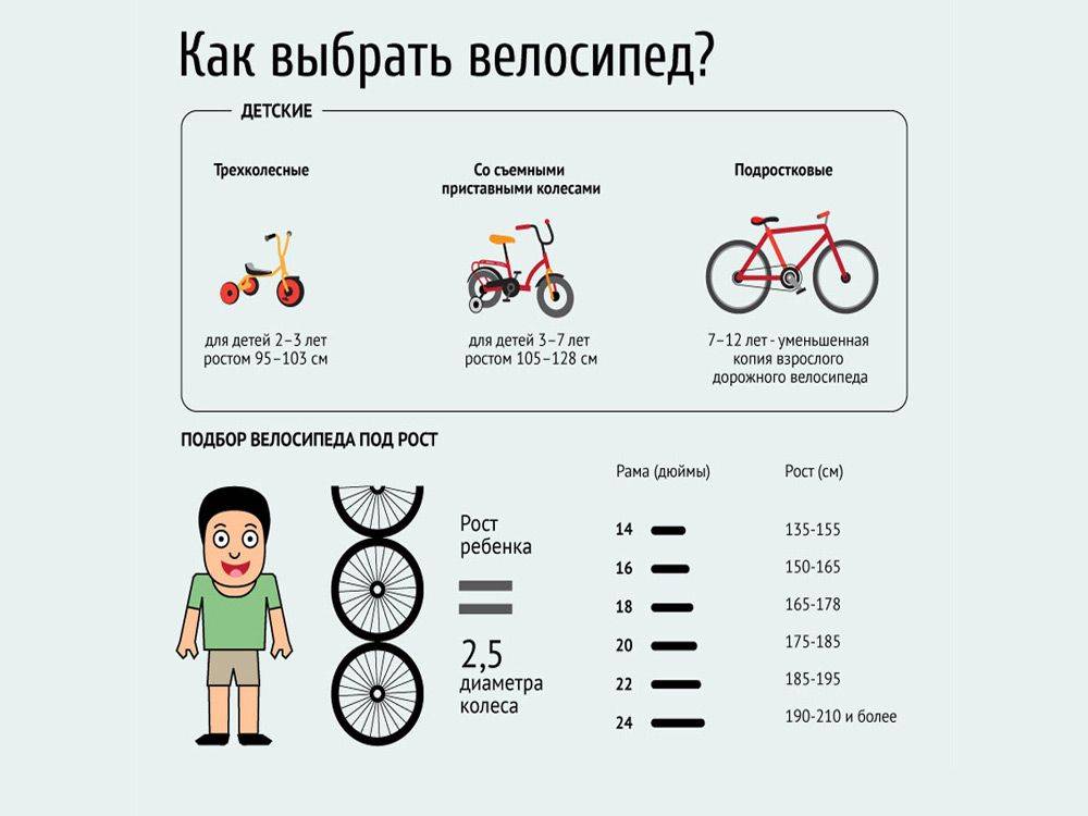 Советы при выборе велосипеда для новичков