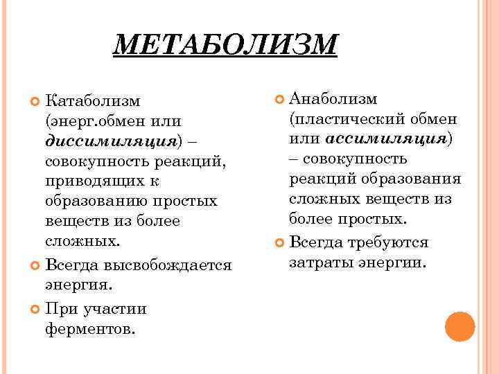 Что такое катаболизм, анаболизм. какое отношение они имеют к метаболизму и как происходят? :: syl.ru