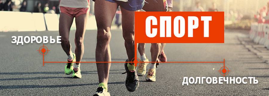 Спорт и здоровье: как спорт влияет на здоровье человека, зачем нужно заниматься спортом