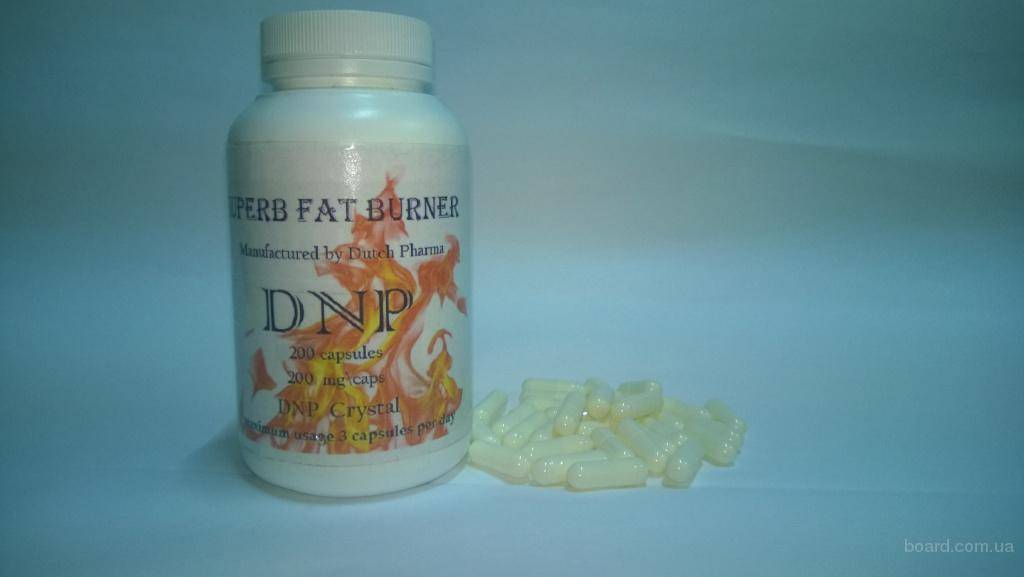 Схема применения жиросжигателя  2,4 динитрофенол (dnp)