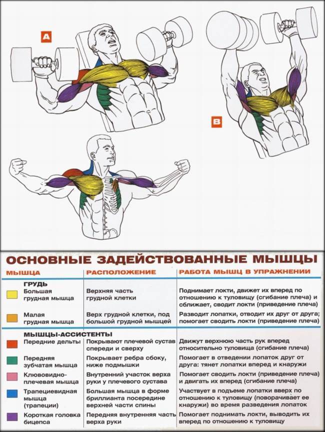 Программа накачки вспомогательных мышц “большая иллюзия”