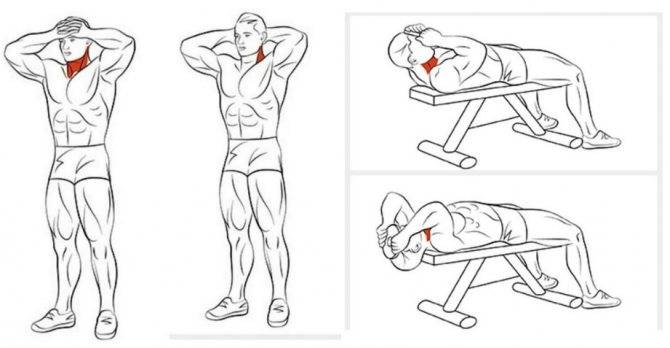 Как накачать мышцы шеи: рекомендации по работе с шейными мускулами, упражнения и программа для тренировок дома и в зале