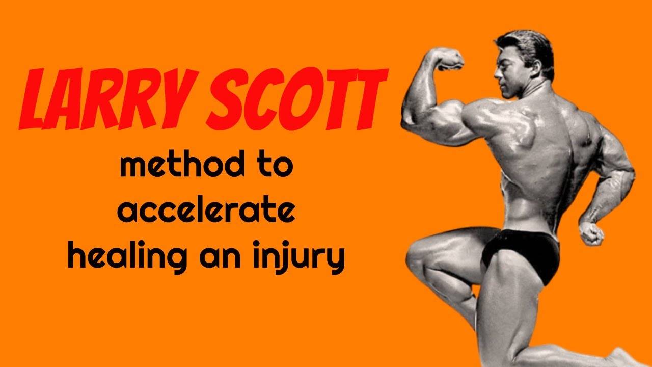 Широкие плечи: подход ларри скотта | спорт и здоровье