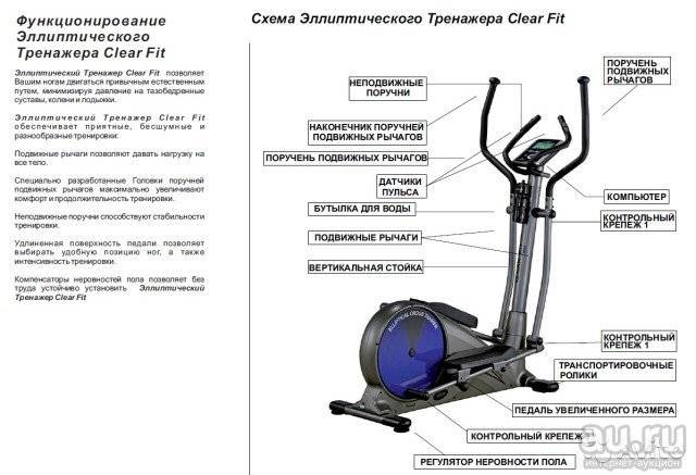 Какие мышцы на эллипсоиде